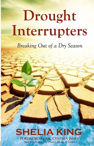 Drought Interrupters Breaking Out of a Dry Season