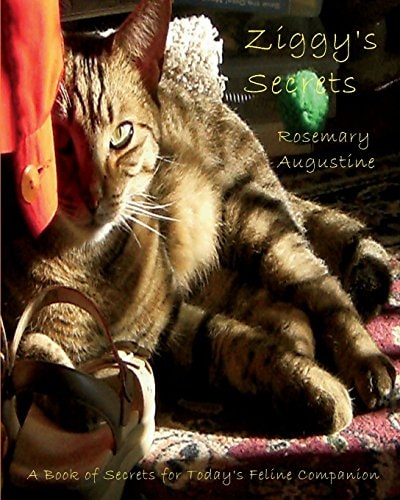 Ziggy's Secrets An Internet Password Keeper