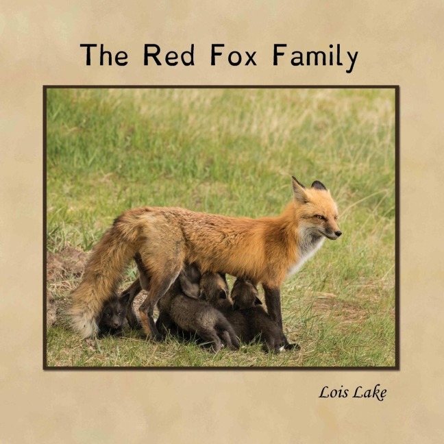 The Red Fox Family