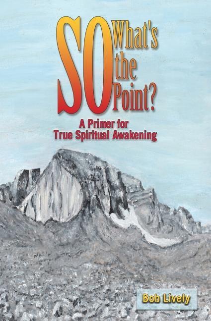 So Whats The Point?: A Primer for True Spiritual Awakening
