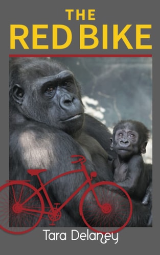 The Red Bike