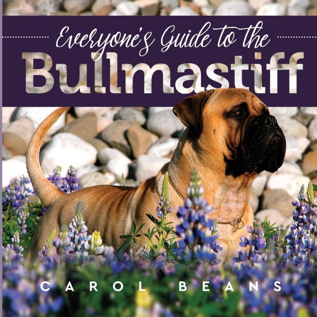 Everyones Guide to the Bullmastiff
