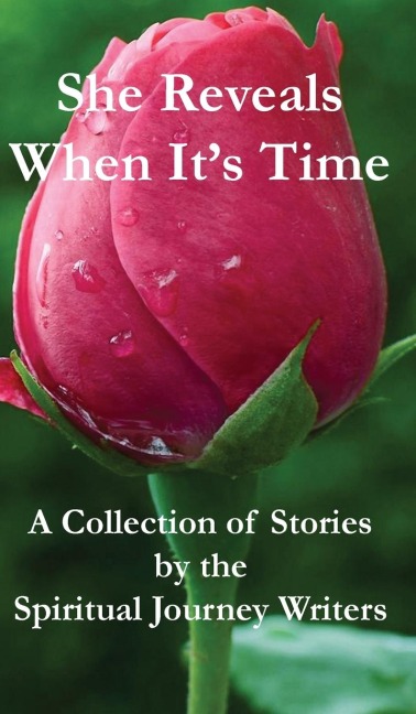 She Reveals When Its Time: A Collection of Stories by The Spiritual Journey Writers