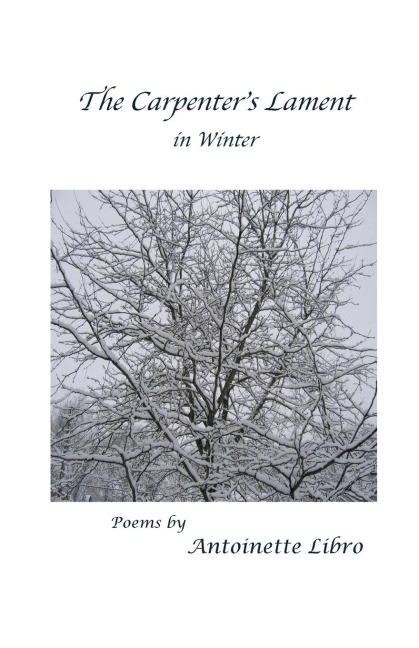 The Carpenters Lament in Winter