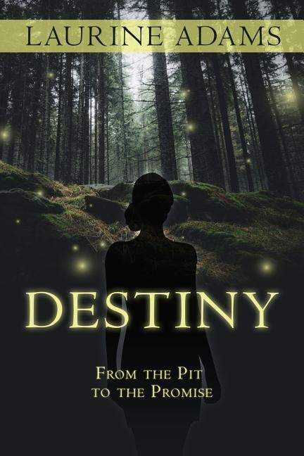 Destiny: From the Pit to the Promise