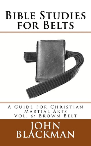 Bible Studies for Belts A Guide for Christian Martial Arts Vol. 6: Brown Belt