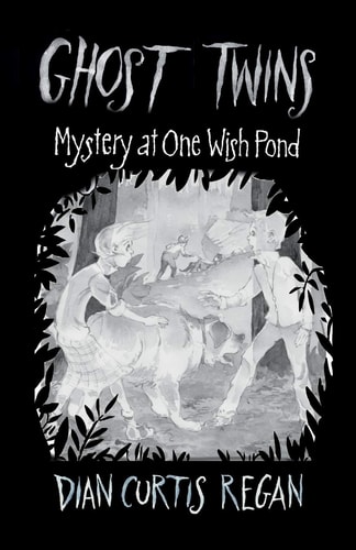 Ghost Twins Mystery of One Wish Pond