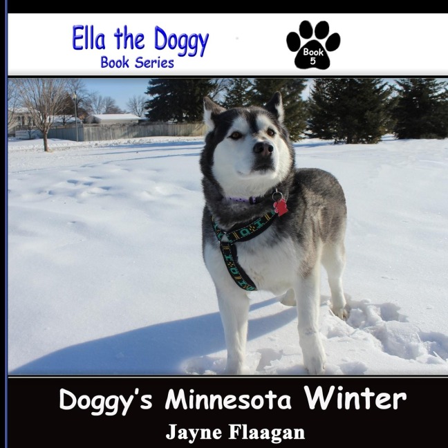 Doggys Minnesota Winter