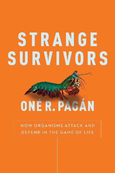 Strange Survivors: How Organisms Attack and Defend in the Game of Life