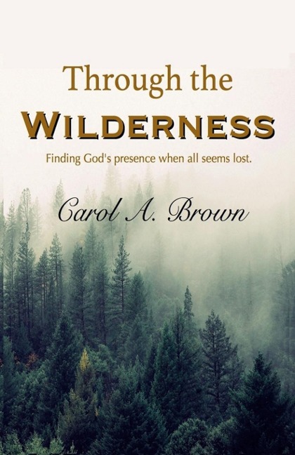 Through The Wilderness: Finding Gods presence when all seems lost.