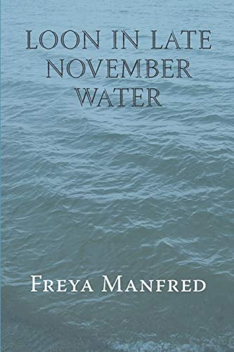 Loon in Late November Water
