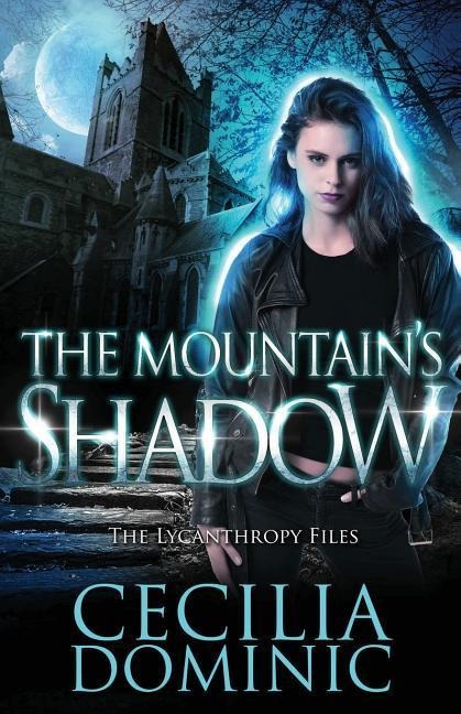 The Mountains Shadow