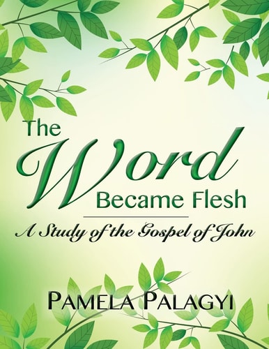The Word Became Flesh A Study of the Gospel of John
