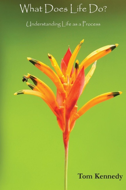 What Does Life Do?: Understanding Life as a Process