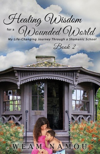 Healing Wisdom for a Wounded World: My Life-Changing Journey Through a Shamanic School (Book 2)