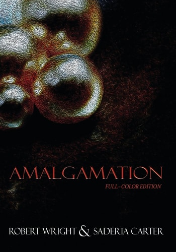 Amalgamation (Full Color Edition)