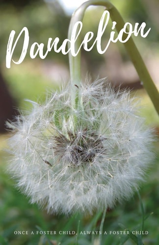 Dandelion Once a Foster Child, Always a Foster Child.