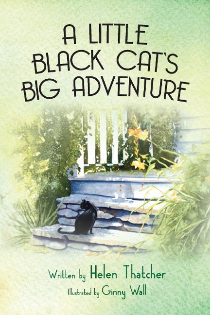 A Little Black Cats Big Adventure
