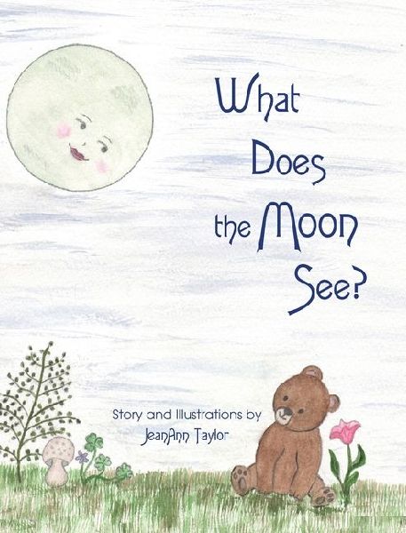 What Does the Moon See?