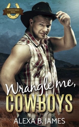 Wrangle Me, Cowboys A Reverse Harem Forbidden Romance