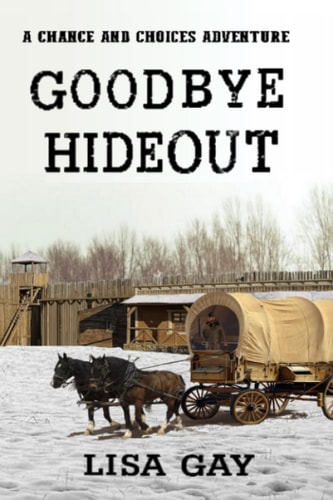 Goodbye Hideout Large Print