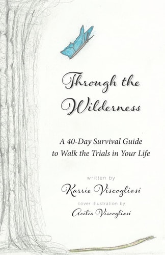 Through the Wilderness A 40-Day Survival Guide to Walk the Trials in Your Life