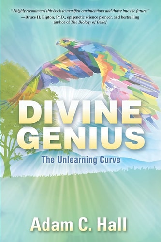 Divine Genius The Unlearning Curve