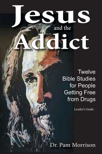 Jesus and the Addict Twelve Bible Studies for People Getting Free from Drugs a Leader's Guide