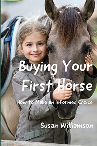 Buying Your First Horse How to Make an Informed Choice