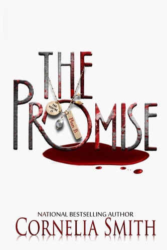 The Promise Plan B