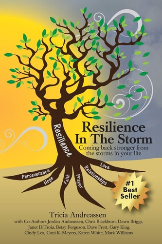 Resilience in the Storm Coming Back Stronger from the Storms in Your Life