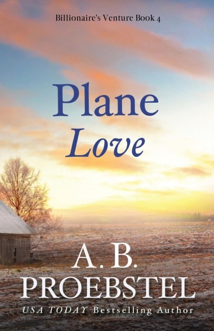 Plane Love: A Sweet Contemporary Romance