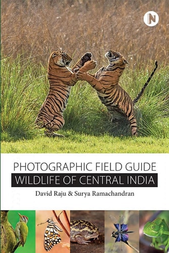 Wildlife of Central India Photographic Field Guide
