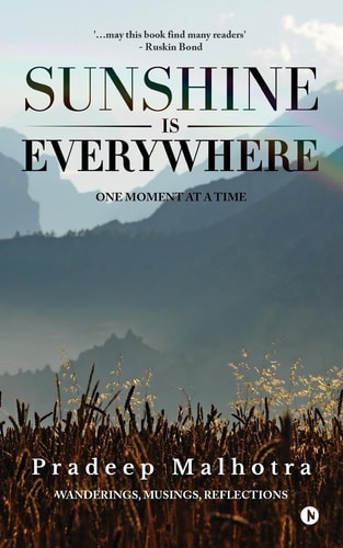 Sunshine Is Everywhere One Moment at a Time