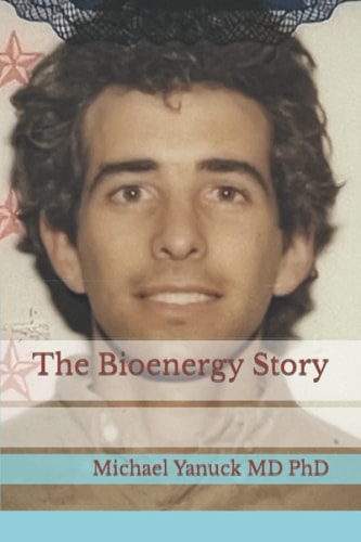 The Bioenergy Story