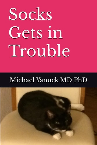 Socks Gets in Trouble