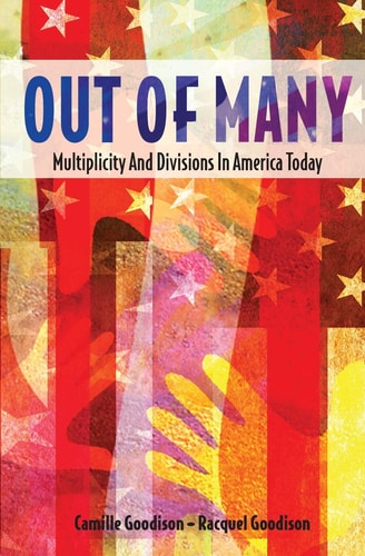 Out of Many Multiplicity and Divisions in America Today