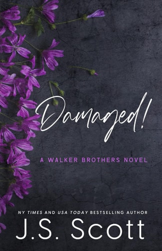 Damaged! A Walker Brothers Novel