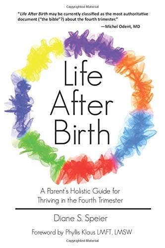 Life After Birth A Parent's Holistic Guide for Thriving in the Fourth Trimester