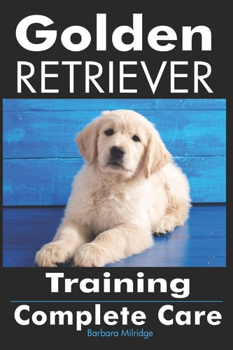 Golden Retriever Training Complete Care