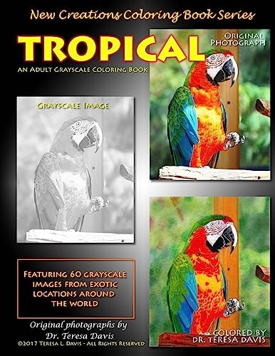 New Creations Coloring Book Series Tropical
