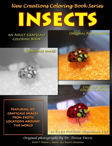 New Creations Coloring Book Series Insects