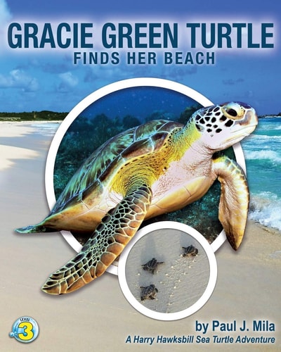 Gracie Green Turtle Finds Her Beach A Harry Hawksbill Sea Turtle Adventure