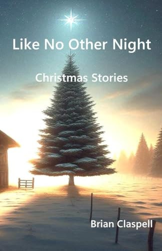 Like No Other Night Christmas Stories