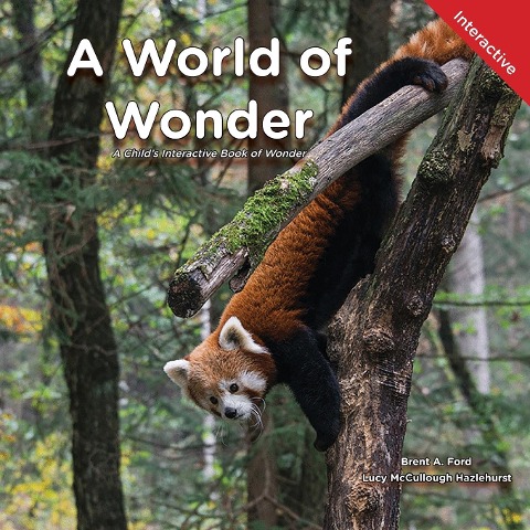 A World of Wonder: A Childs Interactive Book of Wonder