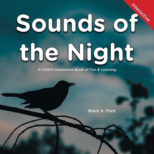Sounds of the Night A Child's Interactive Book of Fun and Learning
