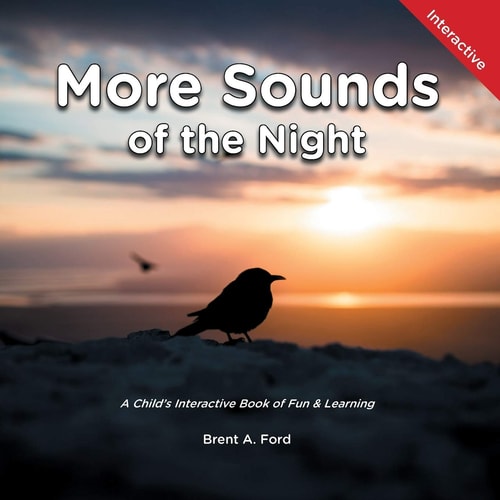 More Sounds of the Night A Child's Interactive Book of Fun and Learning