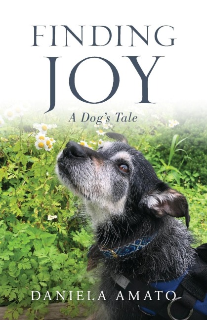 Finding Joy: A Dogs Tale