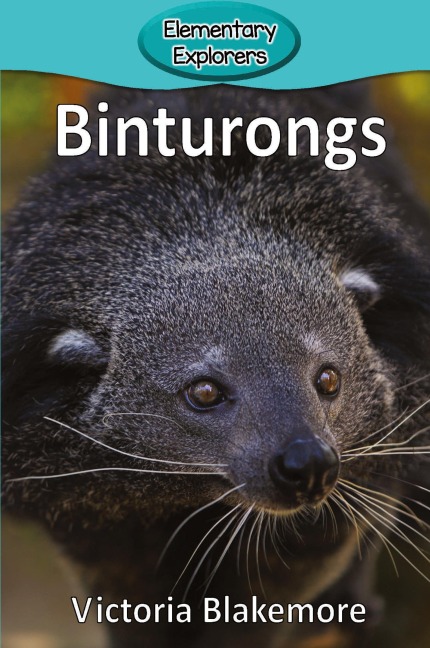 Binturongs