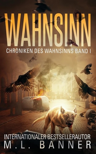 Wahnsinn Ein Apokalyptischer Horrorthriller